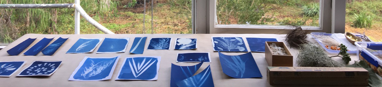 PRINTING WITH THE SUN: A BOTANICAL JOURNEY THROUGH CYANOTYPE